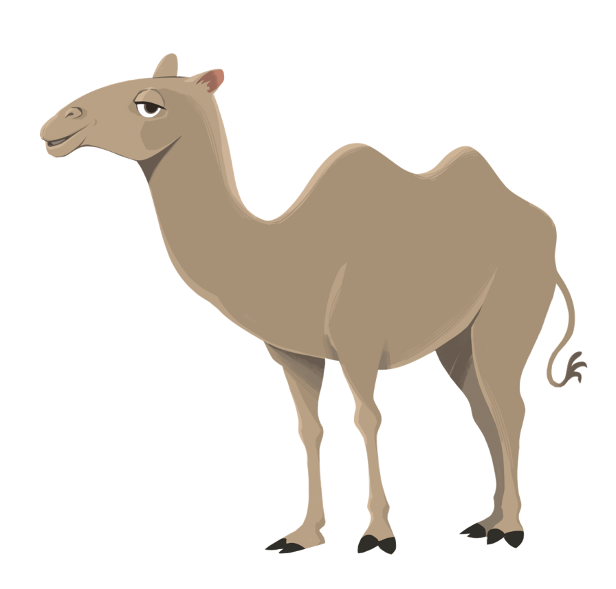 <br>CAMEL