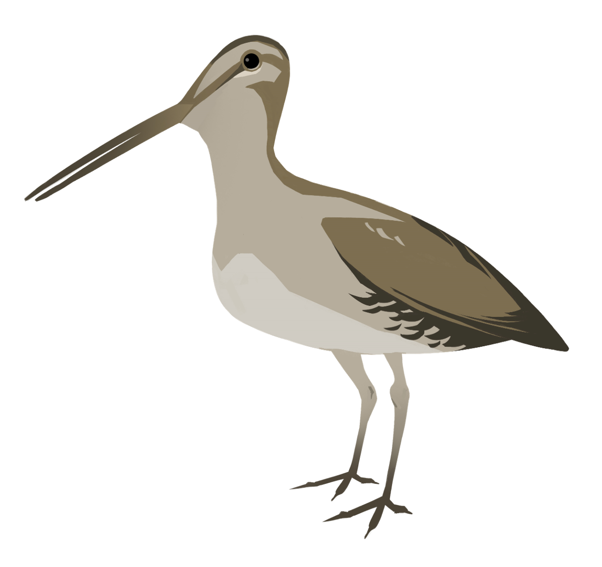 <br>SNIPE